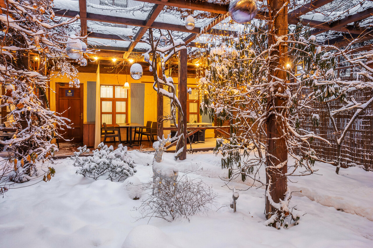 Гостиница Александр Хаус Санкт-Петербург-50