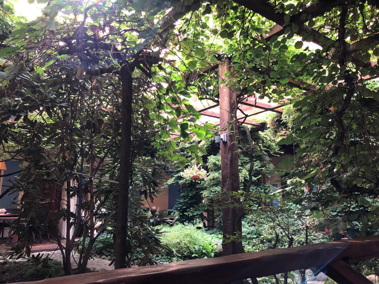 Гостиница Александр Хаус Санкт-Петербург-81