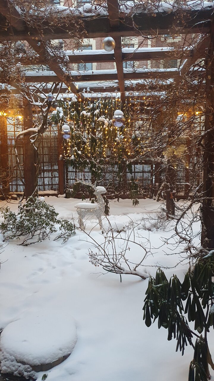 Гостиница Александр Хаус Санкт-Петербург-125