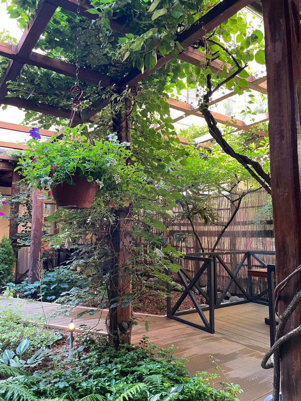 Гостиница Александр Хаус Санкт-Петербург-172