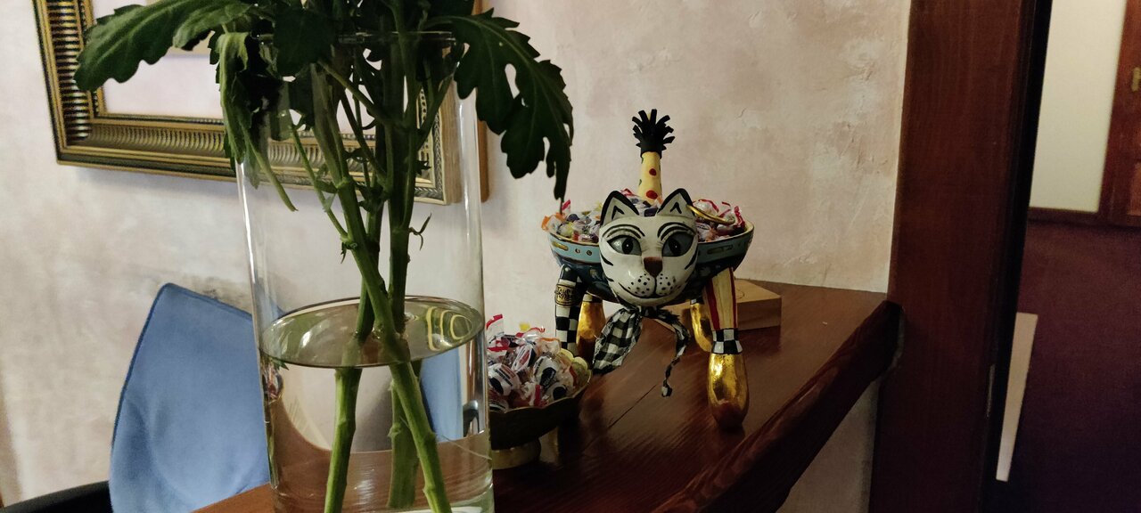 Гостиница Александр Хаус Санкт-Петербург-218