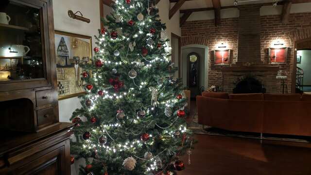 Гостиница Александр Хаус Санкт-Петербург-152