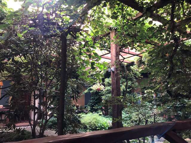 Гостиница Александр Хаус Санкт-Петербург-80