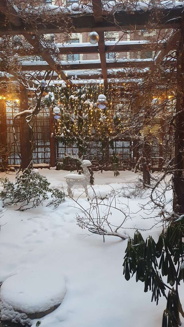 Гостиница Александр Хаус Санкт-Петербург-124